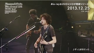 斉藤和義 20th Anniversary Live 1993-2013 \