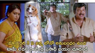 టామీ లేదని రాజేంద్ర ప్రసాద్ భయం చూడండి | Tommy Movie Scenes | Rajendra Prasad | Venu Madhav