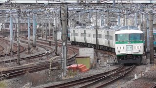 【団体列車】185系団体列車「貨物線の旅号」　2023.2.25