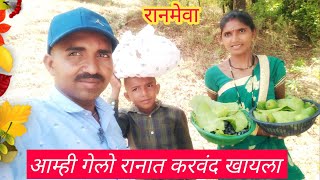 रानातील करवंदा | आम्ही गेलो रानात रानमेवा खायला | Ranmeva | करवंद |Berries in Forest | Pickle