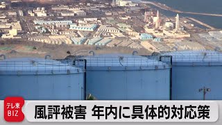 原発処理水 海洋放出の風評被害対策で関係閣僚会議（2021年4月16日）