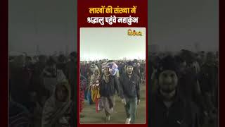 लाखों की संख्या में श्रद्धालु पहुंचे महाकुंभ  #mahakumbh2025 #shahisnan