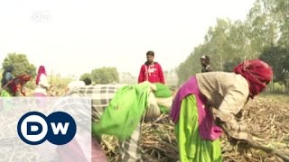 Rural India bears brunt of cash crunch | DW News