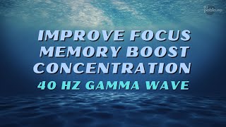 40 Hz Gamma Wave - Improve Focus, Memory Boost Concentration and Mental Clarity with Pure Frequency