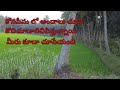 Tha beautiful Konaseema||Beautiful konaseema village||Amalapuram village||sudha kitchen Telugu vlogs