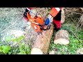 spruce cutting with 4 kg 2.84 ps hitachi cs 38 el