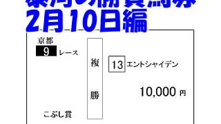 【競馬】泰河の勝負馬券　こぶし賞編　【実践】