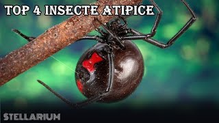 4 Insecte ce Afecteaza psihicul uman | Meduza cu veninul sinuciderii