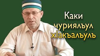 Каки чуриялъул хIакъалъулъ