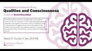 Qualities and Consciousness | David Rosenthal