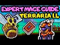 TERRARIA EXPERT MAGE PROGRESSION GUIDE 4! Terraria Mage Guide for Beginners! Pylon Guide!