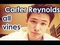 Carter Reynolds All Vines - Best Vines Carter Reynolds 2013 - 2014