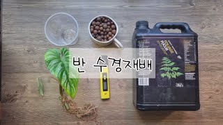 [광고] ★반 수경재배 해볼래요?! ★