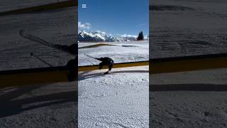 Heaven meme fail on the rail #edit #foryouシ #capcut #skiing