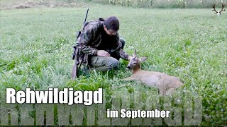 Bockjagd 2021 🦌/  Rehwildjagd  im September🇸🇮