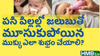 పసి పిల్లల్లో జలుబు - మూసుకుపోయిన కారుతున్న ముక్కు ఎలా శుభ్రం చేయాలి/ నోస్ బల్బ్ ఎలా వాడాలి? HMBLiv