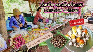 เก็บเห็ดระโงกออกจากป่า ก็เอามาตั้งขายริมทางเลย ตลาดบ้านห้วยแสง วานรฯ สกลนคร