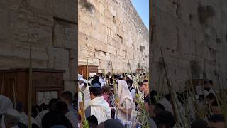 Traditional priestly blessing (birkat kohanim) in Sukkot at the Western Wall in Jerusalem. 2024