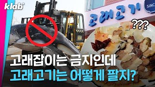 우리나라는 '고래잡이' 금지국인데 '고래고기'는 어떻게 파는 걸까?｜크랩