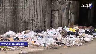 القمامة تحاصر مدينة  كفر نصار بفيصل