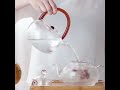 Heat Resisting Herbal Tea Glass Teapot