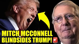 Trump Just Privately PANICKED Over McConnell’s NEW MOVE