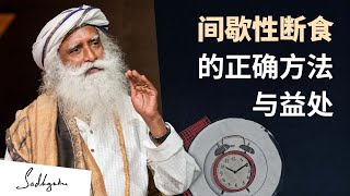 如何正确间歇性断食？| Sadhguru 萨古鲁