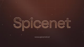 Spicenet 101: Understand what spicenet is all about and why you shouldn't miss out in 5 minutes.