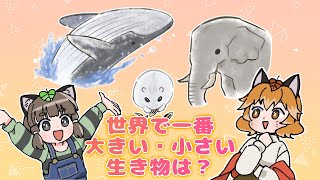 【漫画】世界で一番体の大きい・小さい生き物は？【マンガ動画／ゆっくり解説】