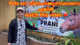 Pet animals ന്റെ പറുദീസയിൽ🐹🐴/Beautiful pet animals and birds #greatexperience #pranipetsanctuary