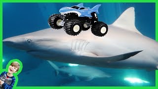 AXEL SHOW Monster Trucks Visit the Aquarium with Real Sharks