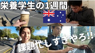 【留学vlog】課題やテストをケトジェニックダイエットで乗り切るオーストラリア栄養学生の1週間