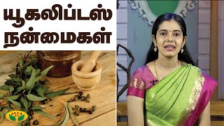 யூகலிப்டஸ் நன்மைகள் | Health Benefits Of Eucalyptus | Nutrition Diary | Jaya TV Adupangarai