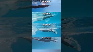 All 4 Swimming Stroke - what's your favourite ? #swimming #learnswimming #swimmingtips