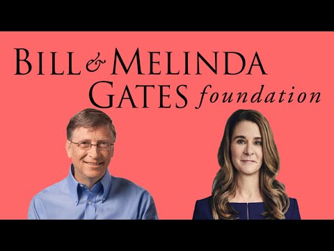 What does the Bill and Melinda Gates Foundation do?