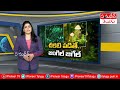 bhimashankar forest అద్భుత‌ అందాల నిల‌యం.. pioneer tv