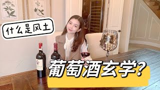 什么是葡萄酒的风土？一瓶好酒的秘密都在这里