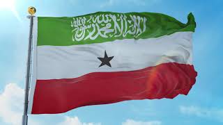 Somaliland Waving Flag | Calanka Somaliland | Caqilka Store