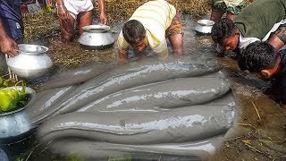 Lost Fishing Culture Of Village People - Rare & Unique Fish Trapping Technique।। #আমিকৃষক#AMIKRISHOK