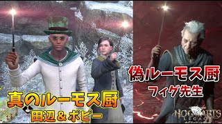 【悲報】フィグ先生 ファッションルーモス厨だった事が発覚！真のルーモス厨ポピー降臨！！ #11【ホグワーツレガシー】