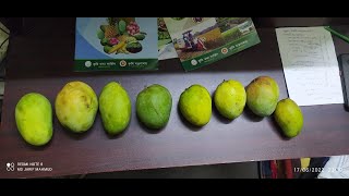 ৮ রকমের আম। 8 Types of Mangoes BD Mango