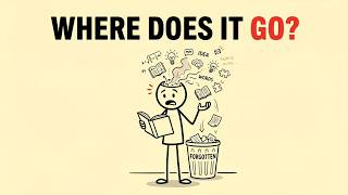 Why You Forget Everything You Learn