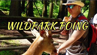 Poing Wildpark* Poing Wildlife Park*  Poingo laukinės gamtos parkas* Парк дикой природы Поинг*