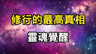 修行的最高真相：靈魂覺醒！靈魂，唯一的破局者！高維智慧vs低維系統。你活在誰的念頭裡？只有靈魂能拯救自己 #開悟 #覺醒 #靈性成長