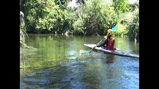 Les Sorgues (Vaucluse) : Canoë kayak et milieux naturels