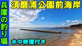 【最新】須磨浦公園前の海岸の釣り場を徹底解剖！狙える魚種を紹介！