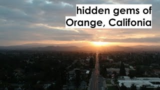 Hidden Gems of Orange, CA I Panther Buzz