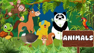 What Do Animals Eat ? Animals Name and Sounds | Toddlers Educational Video | Wild Animals for Kids