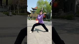 The Explosive Power of Tai Chi. #taichi #taijiquan #kungfu #shorts