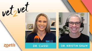 We Can Finally Help Our Cat Patients with OA! | A Vet2Vet Conversation